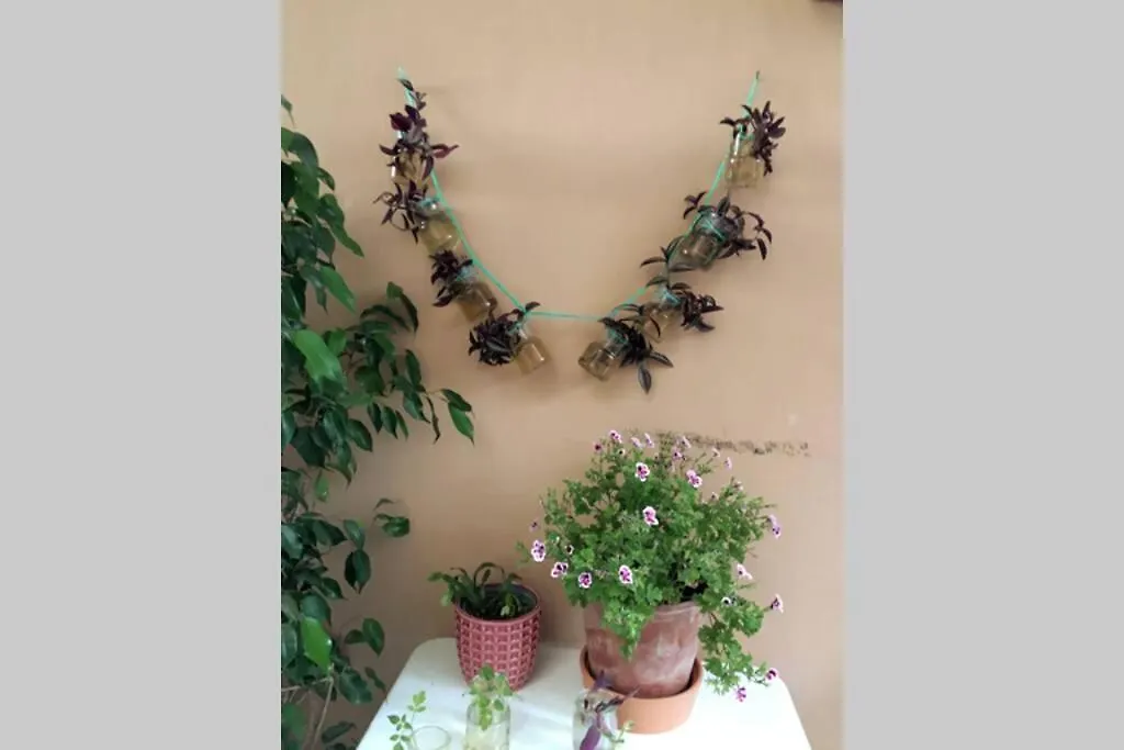 Verde Centrale Home Portici Italy
